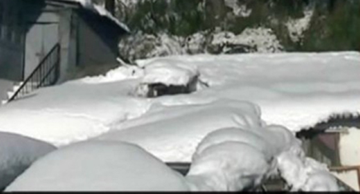 shimla 11 jan